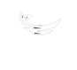 NestCreditFinance